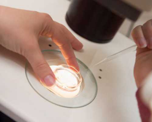 泵站一体化_夜游项目成追捧 迪士尼 IP 赋能