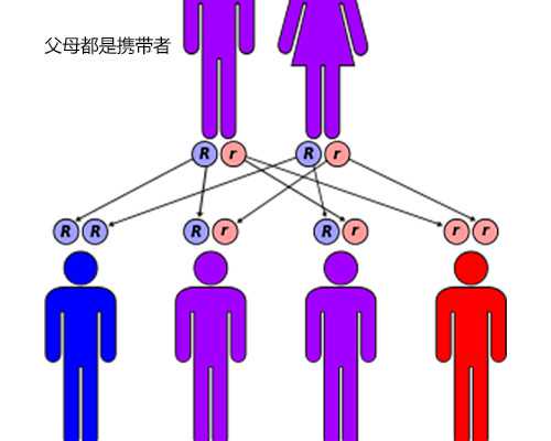 泵站自动化控制系统_何汶玦同名个展在凤凰艺都北京空间开幕