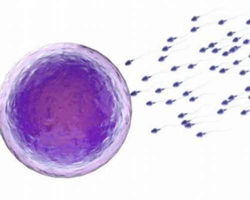 香港验血得多少天_香港查血验男女哪家好_查性别哪个机构最权威!