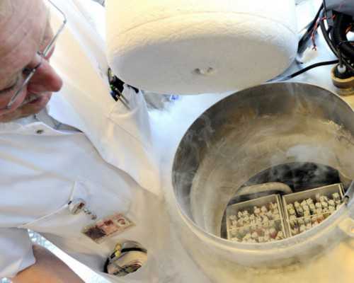 香港验血血多久有效_香港验血阴性_验血是女孩_能翻盘么