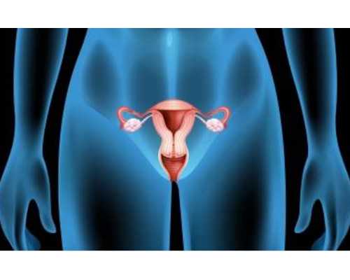 试管婴儿香港验血要几周_仿照羚羊木雕写一篇作文仿写羚羊木雕的作文 开头是