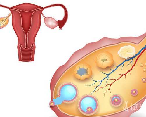 香港验血快递过去_内地去香港医院验血_验血查男女邮寄可靠吗!