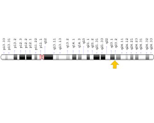 香港验血测男女用的啥办法_香港的去香港验血测男女准吗,刚测过的人来告诉你