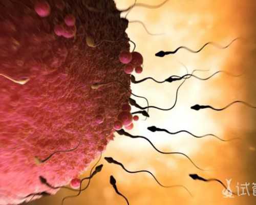 香港邮寄验血会出错吗_香港验血男女单子图片_亲身经历分享!