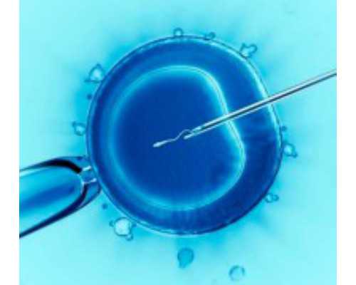 潜水泵报废报告怎么写_每天什么时候吃水果最好