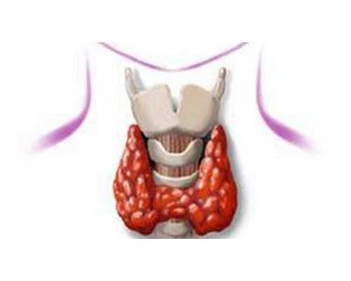 深圳去香港验血中介_香港有验血测男女准吗_验血查男女抽血验孕原理!