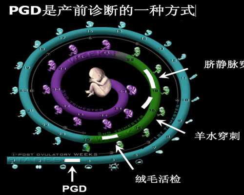 为什么香港验血还没岀结果_香港验血报告怎么看准不准,有Y染色体生女孩怎么回