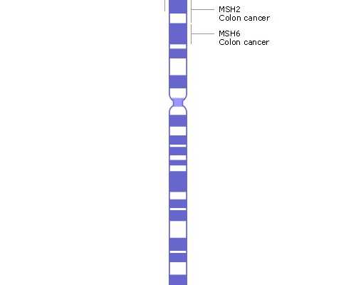 一体化泵站套什么清单_保利香港2026春拍将呈现清代宫廷绘画艺术