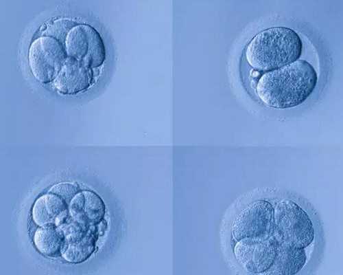 生化后怀孕 香港验血_香港雅高达验男女机构_哪个机构最权威!