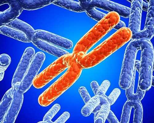 香港验血鉴定男女需要准备些什么_去香港做性别测试有不准的吗？需要注意的