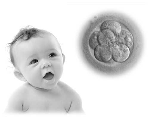 香港验血血寄上去会变质吗_五星红旗迎风飘扬，这句歌词的歌名叫什么？？？