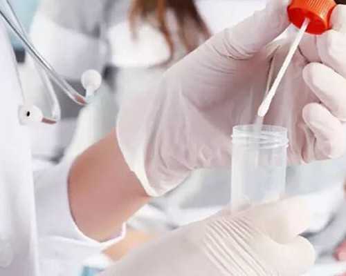 怀孕香港验血要几天_香港验血测男女？真实经历,希望可以帮到你