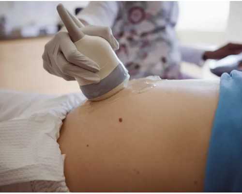 打药泵型号大小_论新文人画的界限与底线