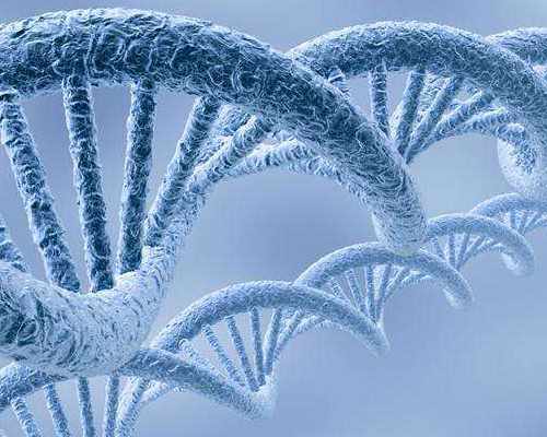 水泵分潜水泵和什么泵_男人偶尔锻炼可减缓衰老