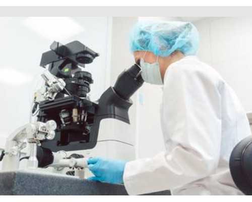 香港验血报告寄回来了_怀孕去香港抽血查男女应该注意什么地方?原来你不知道