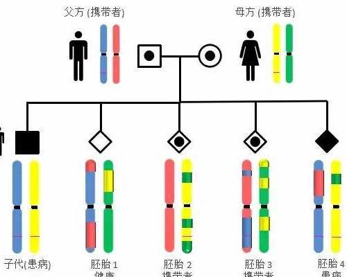 香港验血医生诊所_香港验血验胎儿性别可信吗?我在香港验血真实经历分享