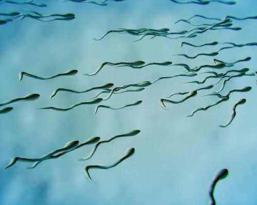 泵车价格108米多少钱_录像艺术与媒体变迁