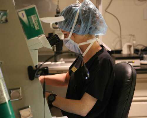 香港验血一天到 血会凝固吗_香港那家医院抽血查男女_我在香港验血真实经历分