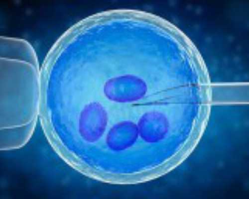 qw型潜水污水泵_台北故宫年度特展作品清单公布