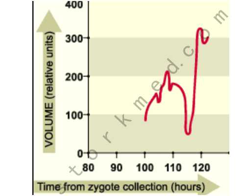 香港验血查男女靠谱吗_哪里有b超香港验血查男女的_全面信息 让你一目了然!