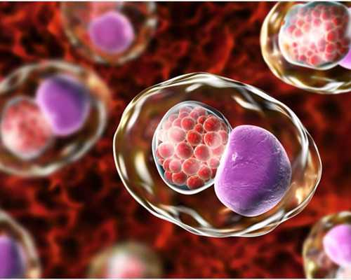 香港验血怎么伪装快递_香港验血预约服务_哪家验血机构比较好