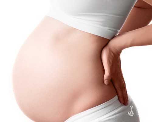 香港验血没y生了男孩几率大吗_香港验血测胎儿性别如何预约,验血准确率多高