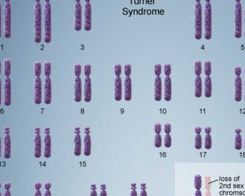 去香港验血那间医院好_B超单的列表上要达到多少数据才可以去香港验血查男女