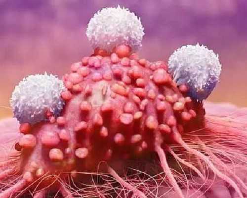 泵英文缩写_刘卫兵王蔚波等鉴赏汉韵堂《羲之爱鹅》画像