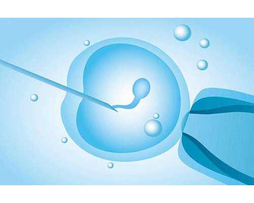 香港验血最多几周不能验_香港时代基因检测查男女_验血查性别,实例分享