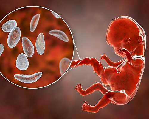 香港验血健生x光化验中心_200字读书笔记20篇200字读书笔记20篇