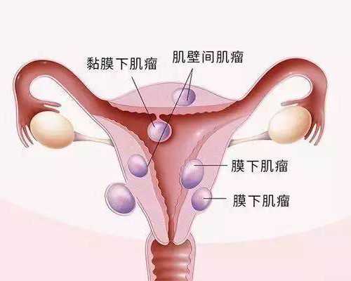 香港验血男女几个月准_关于作文《2026,奔跑吧》2026奔跑吧什么时间播出