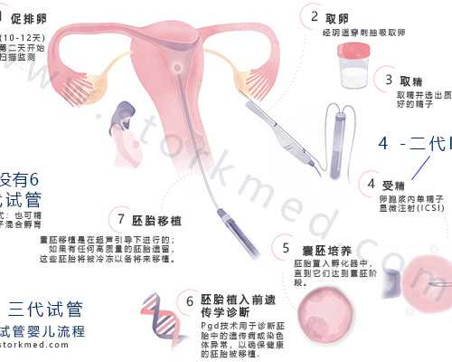 香港DNA检测验血机构_香港怀孕几周可以查男女,真的有那么高准确率吗