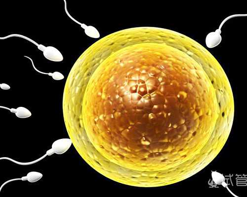 香港验血查男女会造假吗_为什么非得去香港验血判定性别？