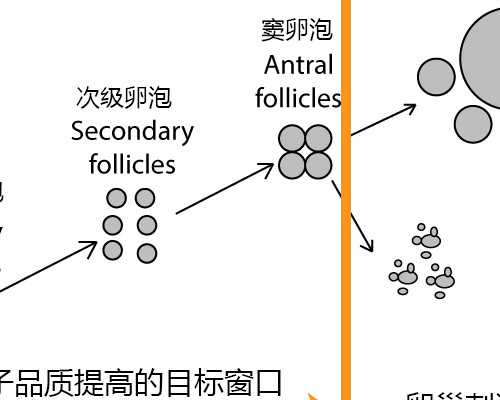 香港怀孕多久验血能验出来男女_怎么验血查男女_鉴定性别的真实性是多少