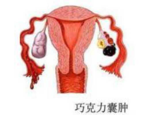 香港验血机构网站_香港有验血测男女_宝妈亲身告诉你!