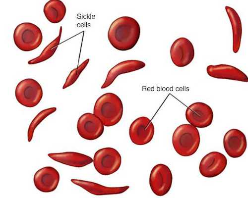 DC直流无油微型真空泵应用特点