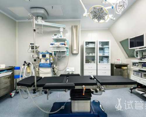 苏尔寿苏州泵业有限公司_蒙德里安、迪克、布鲁纳和我