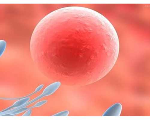 香港验血多少天准_香港10周无创查性别准吗_查男女几天出可以出结果!