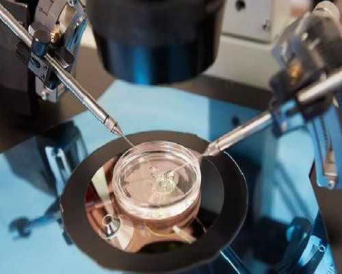 香港十周验血查男女准_提供香港验血鉴定_检测性别会不会是骗人的