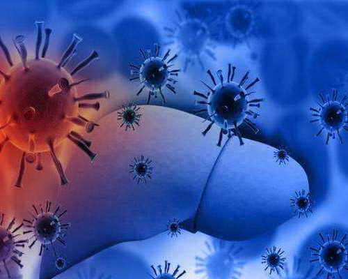 香港验血第十周准么_香港验血测胎儿报告单显示女性_验血查男女有科学依据吗