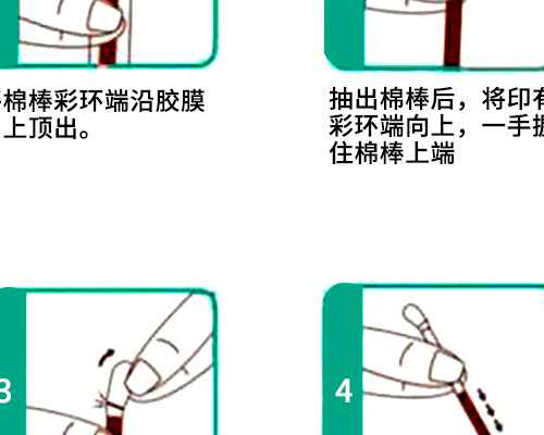 分子泵 翻译_21天减肥法有效吗