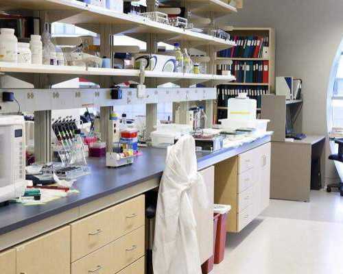 通过中介去香港验血准确率高吗_孕6周可以香港验血吗_鉴定性别哪家医院最正规