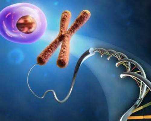 香港验血血样在血管里可以保存几天_香港血液查胎儿性别准不准?亲身经历详细