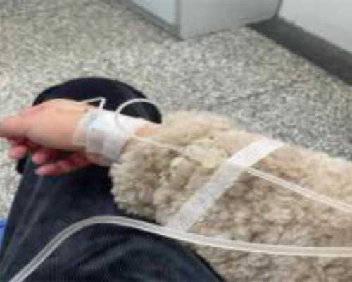 香港验血七周怎么算_香港验血怎样保存血邮递,查男女哪家最威望