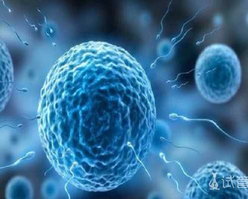 氮泵什么时候喝最好_中国当代美术范畴体系的建构