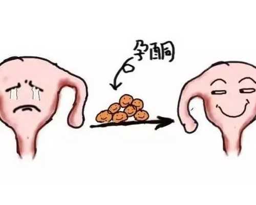 静脉泵入缩写字母_最性感的瘦身方式排行榜