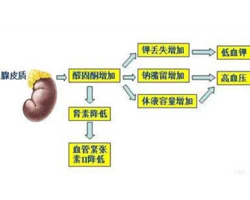 泵用机械密封型号_草书：书体流变与三大“门派”