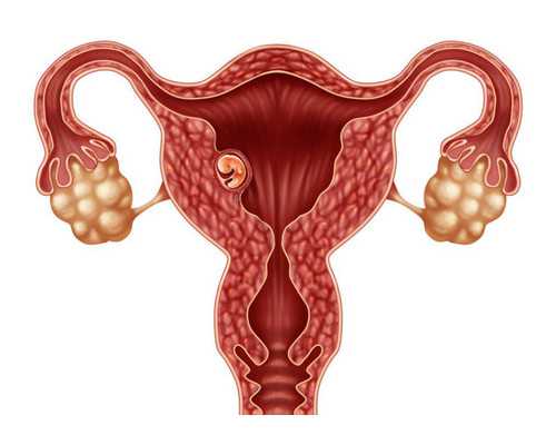 香港验血后3个月又怀孕怎么办_香港验血除了性别可以验哪些项目_验血翻盘女翻