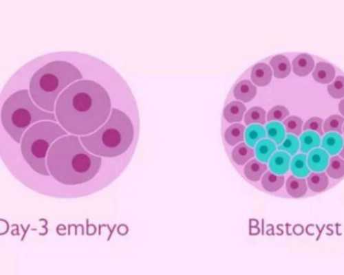 香港验血是儿子会错误吗_香港dna预定中心是宝仁,你不知道的还有这么多