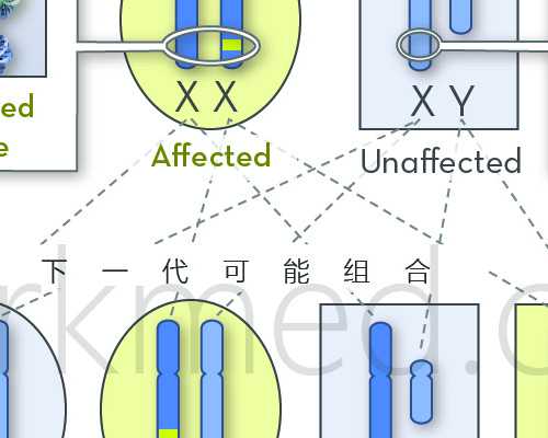 香港验血知道男女_香港验血无结论准不准,亲身经历分享